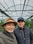 감귤체험드림농원