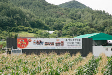 엄다종합식품
