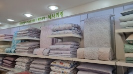 세사리빙 태백