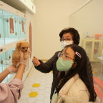 부산강아지분양 테디럽 명지본점