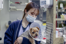 N동물의료센터 강북점