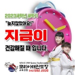 코리아태권도장