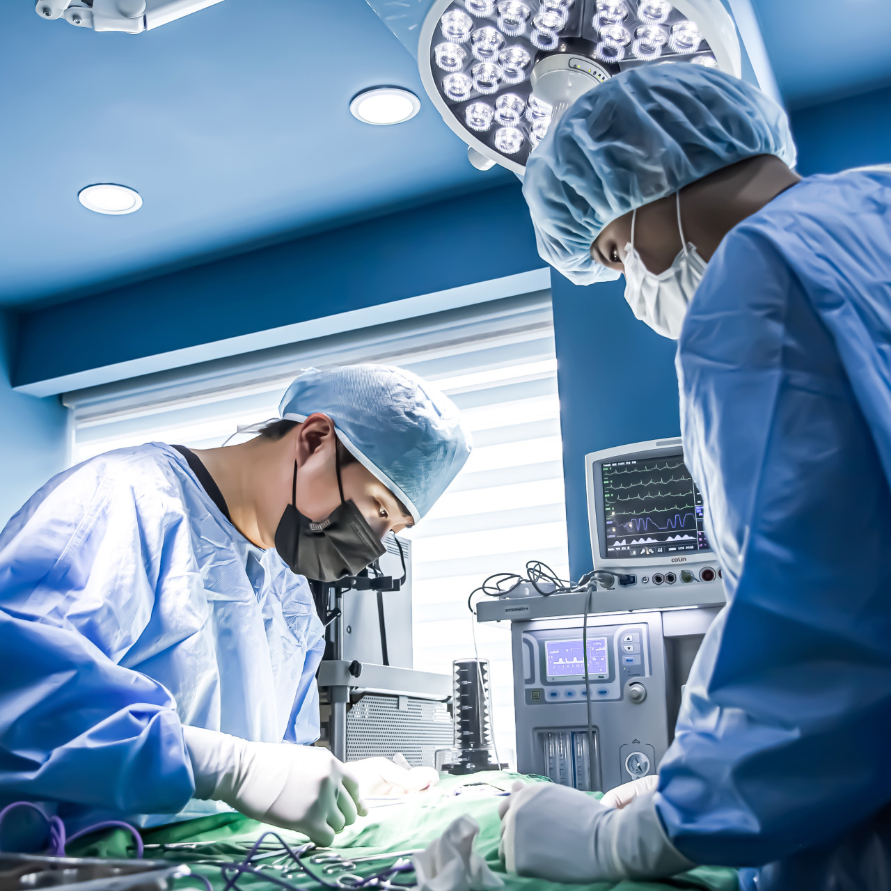 N동물의료센터 강북점