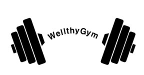 웰씨짐휘트니스
