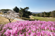 블루원 용인CC