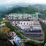 딜라이트