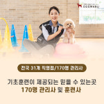 수원강아지분양 고양이분양 도그마루