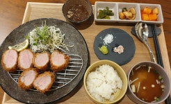 터틀리애
