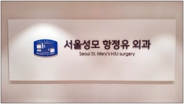 서울 성모 항정유 외과 의원