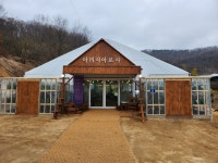 아리시아로사