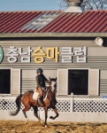 충남승마클럽
