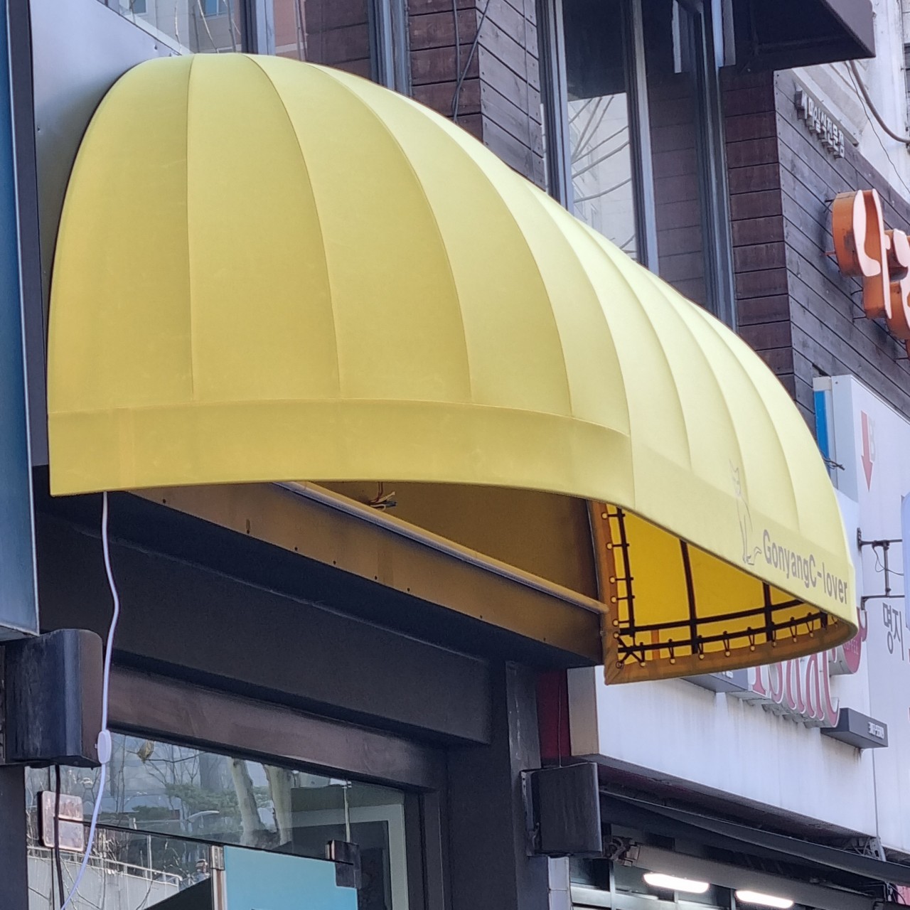 고냥C 이미지