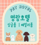 명랑 인천애견유치원