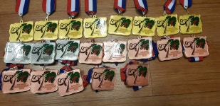 레츠고동아태권도