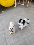 덕구살롱