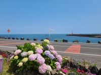 해난디아장펜션