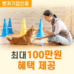 인천강아지분양 고양이분양 도그마루