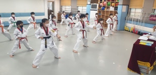 삼호태권도