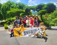 탑파워댄스