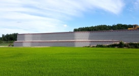 와이디티