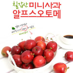 칠갑산알프스농원