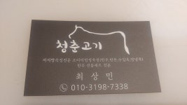 청춘고기