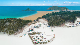 태안 한성힐링캠프 펜션