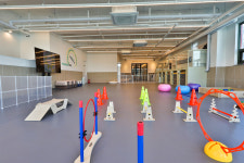 프렌즈도그 유치원 광주 서구점