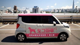서울인천펫택시강아지고양이애견