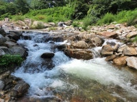 소백산 준 스테이