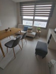 인셀덤(illy) | 인셀덤 illy