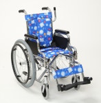 에이엔아이 코리아