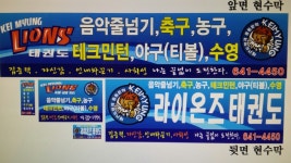 라이온즈월성태권도장