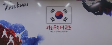 비호무송태권도