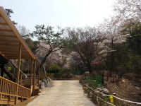 산마루로뎀펜션