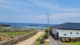 제주에서돌고래를만난다면펜션