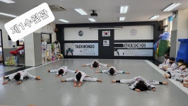 가좌동스탈릿백호태권도