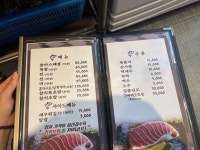 참치마니아