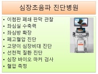 금나래동물병원