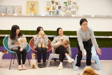 해피퍼피