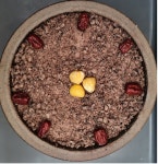 시루