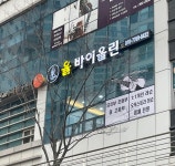율 바이올린