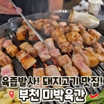 미박육간