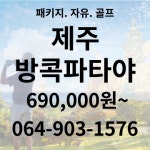수성여행사