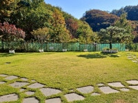 행복하개 애견 펜션