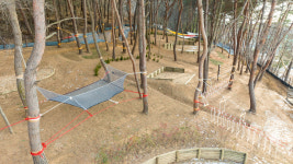 자연아놀자