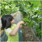 햇살담은 FARM.