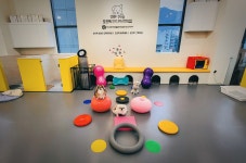 오프독 반려견 종합교육문화센터