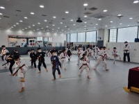 1등경희대태권도장