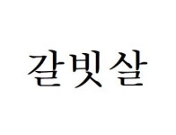 꿀돼지뒷고기